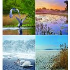 CSG Naptár, fali, CSG, "Vizeink"