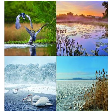 CSG Naptár, fali, CSG, "Vizeink"