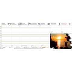   CSIZIO Naptár, asztali, fekvő, CSÍZIÓ, "Öko", kék