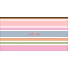   DAYLINER Zsebnaptár, fekvő elrendezésű, DAYLINER, "Colors Stripes"