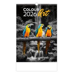 DAYLINER Naptár, fali, DAYLINER "Colour Art"