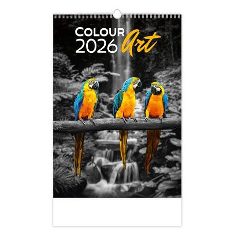 DAYLINER Naptár, fali, DAYLINER "Colour Art"