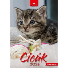 DAYLINER Naptár, fali, DAYLINER, "Cicák"