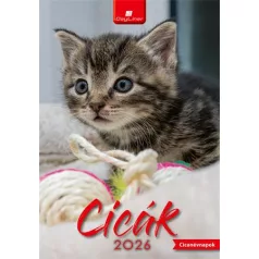 DAYLINER Naptár, fali, DAYLINER, "Cicák"
