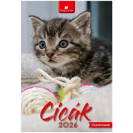 DAYLINER Naptár, fali, DAYLINER, "Cicák"