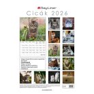 DAYLINER Naptár, fali, DAYLINER, "Cicák"