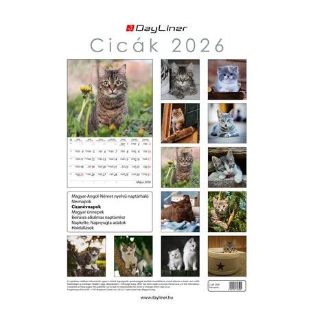 DAYLINER Naptár, fali, DAYLINER, "Cicák"