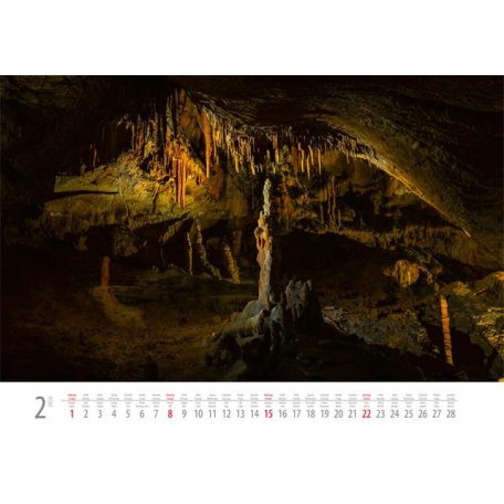 DAYLINER Naptár, fali, DAYLINER, "Hungary"