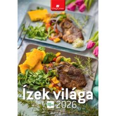   DAYLINER Naptár, fali, DAYLINER "Ízek világa - Mindmegette"