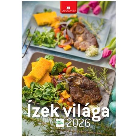 DAYLINER Naptár, fali, DAYLINER "Ízek világa - Mindmegette"