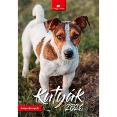DAYLINER Naptár, fali, DAYLINER, "Kutyák"