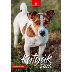 DAYLINER Naptár, fali, DAYLINER, "Kutyák"