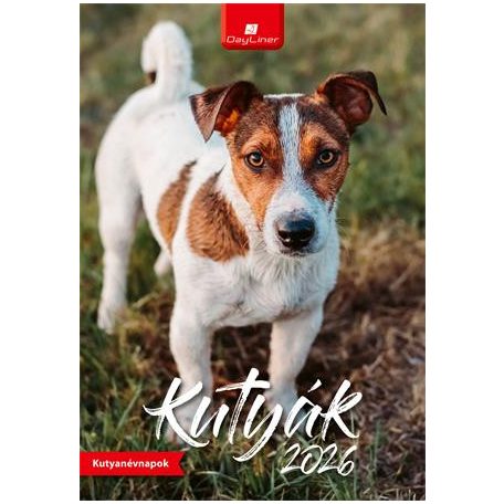 DAYLINER Naptár, fali, DAYLINER, "Kutyák"