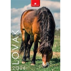 DAYLINER Naptár, fali, DAYLINER, "Lovak"