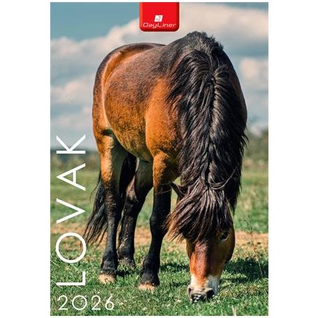 DAYLINER Naptár, fali, DAYLINER, "Lovak"