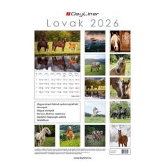 DAYLINER Naptár, fali, DAYLINER, "Lovak"