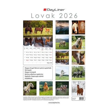 DAYLINER Naptár, fali, DAYLINER, "Lovak"