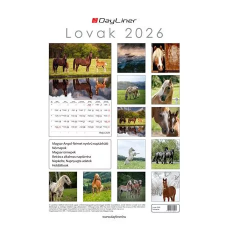 DAYLINER Naptár, fali, DAYLINER, "Lovak"
