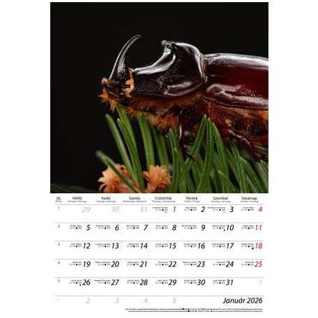 DAYLINER Naptár, fali, DAYLINER, "Macro Lens"