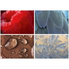 DAYLINER Naptár, fali, DAYLINER, "Macro Lens"