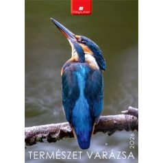   DAYLINER Naptár, fali, DAYLINER, "Természet varázsa"