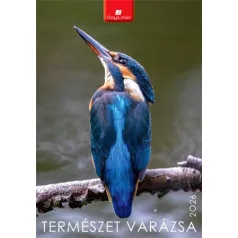   DAYLINER Naptár, fali, DAYLINER, "Természet varázsa"