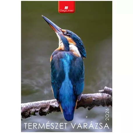 DAYLINER Naptár, fali, DAYLINER, "Természet varázsa"