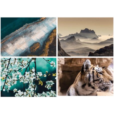 DAYLINER Naptár, fali, DAYLINER, "Természet varázsa"