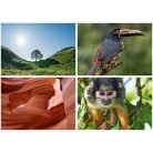 DAYLINER Naptár, fali, DAYLINER, "Természet varázsa"