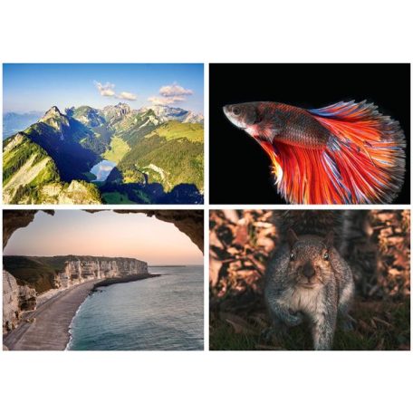 DAYLINER Naptár, fali, DAYLINER, "Természet varázsa"