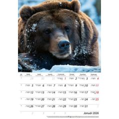 DAYLINER Naptár, fali, DAYLINER, "Vadászat"
