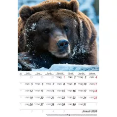 DAYLINER Naptár, fali, DAYLINER, "Vadászat"