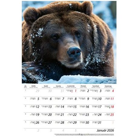 DAYLINER Naptár, fali, DAYLINER, "Vadászat"