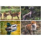 DAYLINER Naptár, fali, DAYLINER, "Vadászat"