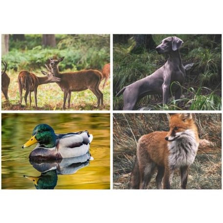 DAYLINER Naptár, fali, DAYLINER, "Vadászat"