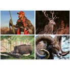 DAYLINER Naptár, fali, DAYLINER, "Vadászat"