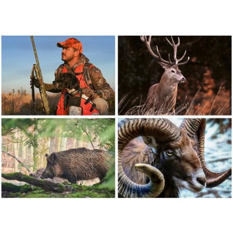 DAYLINER Naptár, fali, DAYLINER, "Vadászat"