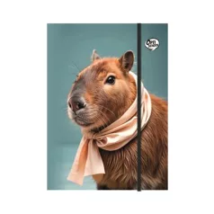   OPTISCHOOL Gumis mappa, karton, A4, OPTISCHOOL "Capybara"