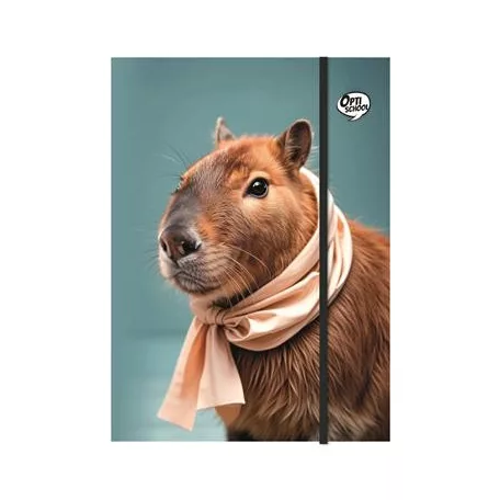 OPTISCHOOL Gumis mappa, karton, A4, OPTISCHOOL "Capybara"