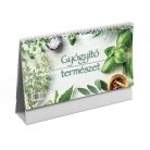 TOPTIMER Naptár, asztali, álló, TOPTIMER, "Gyógyító természet"