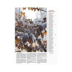 TOPTIMER Naptár, fali, TOPTIMER "Kertésznaptár"