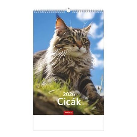 TOPTIMER Naptár, fali, TOPTIMER, "Cicák"