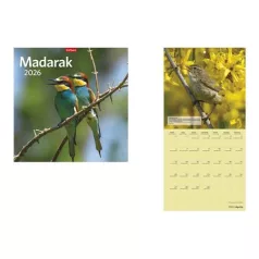 TOPTIMER Naptár, fali, TOPTIMER "Madarak"