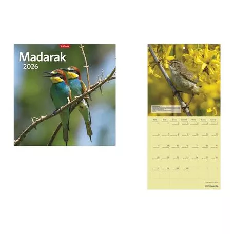 TOPTIMER Naptár, fali, TOPTIMER "Madarak"