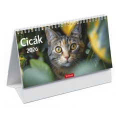   TOPTIMER Naptár, asztali, álló, TOPTIMER, "Cicák"