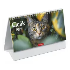   TOPTIMER Naptár, asztali, álló, TOPTIMER, "Cicák"