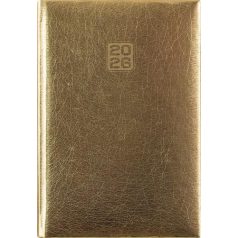   DAYLINER Naptár, tervező, A5, heti, DAYLINER, "Mirror", arany