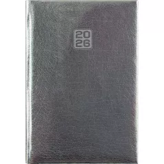   DAYLINER Naptár, tervező, B6, heti, DAYLINER, "Mirror", ezüst