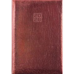   DAYLINER Naptár, tervező, A5, heti, DAYLINER, "Mirror", bronz