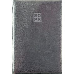   DAYLINER Naptár, tervező, A5, heti, DAYLINER, "Mirror", ezüst